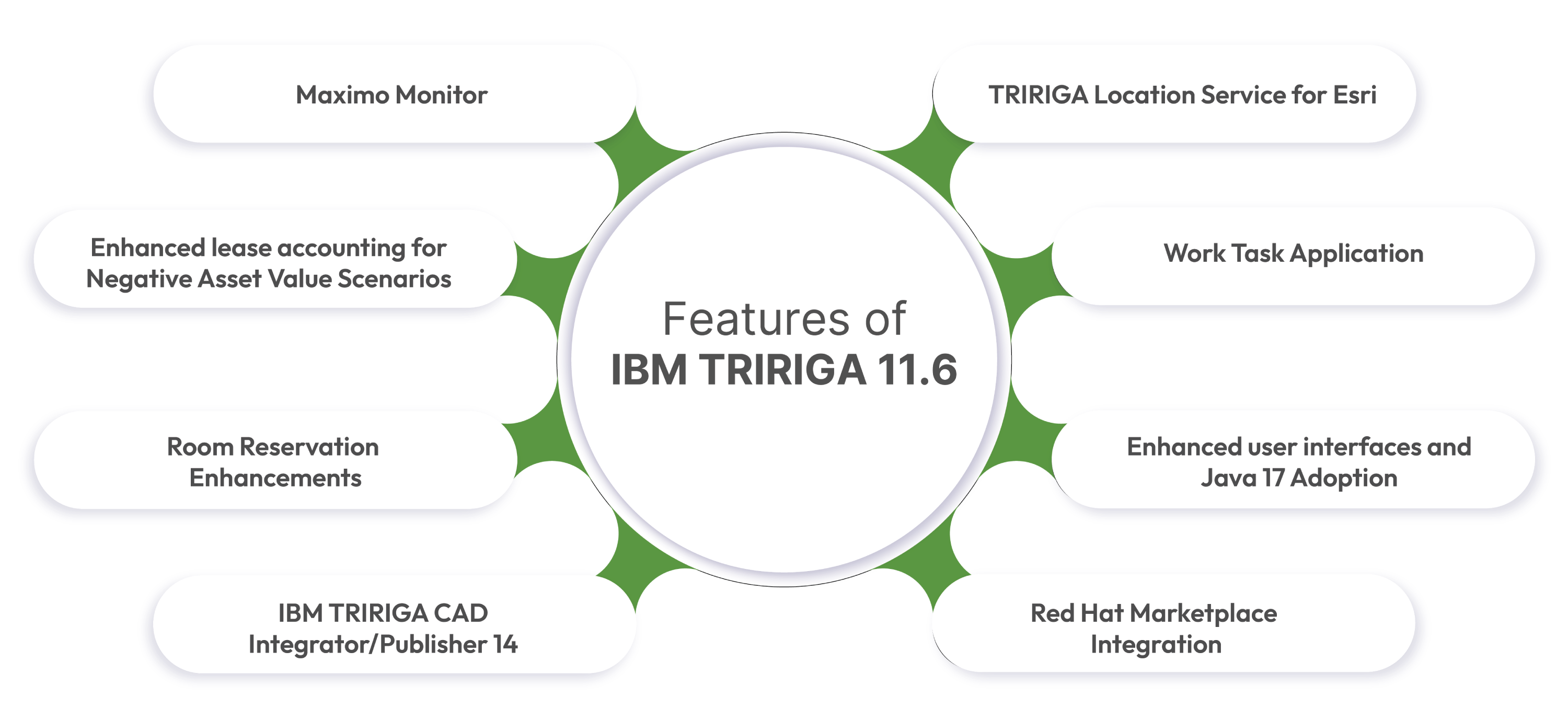 Features of IBM TRIRIGA 11.6